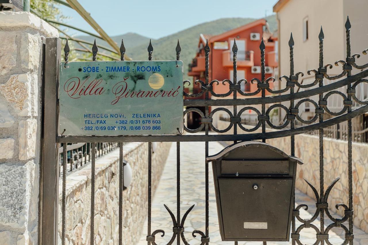 Guest House Villa Zivanovic تْشيرسيك نوفي المظهر الخارجي الصورة